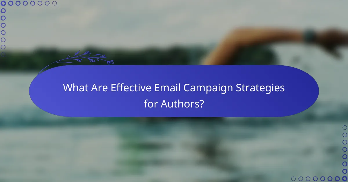 What Are Effective Email Campaign Strategies for Authors?