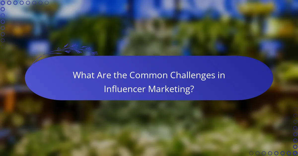 What Are the Common Challenges in Influencer Marketing?
